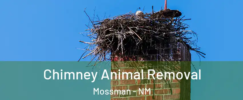 Chimney Animal Removal Mossman - NM