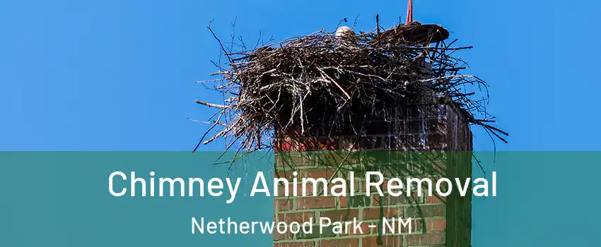 Chimney Animal Removal Netherwood Park - NM