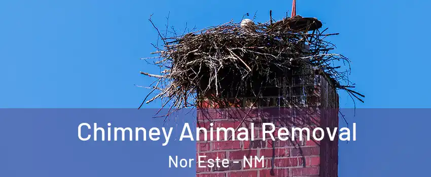 Chimney Animal Removal Nor Este - NM