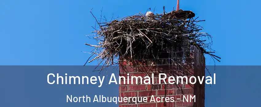 Chimney Animal Removal North Albuquerque Acres - NM