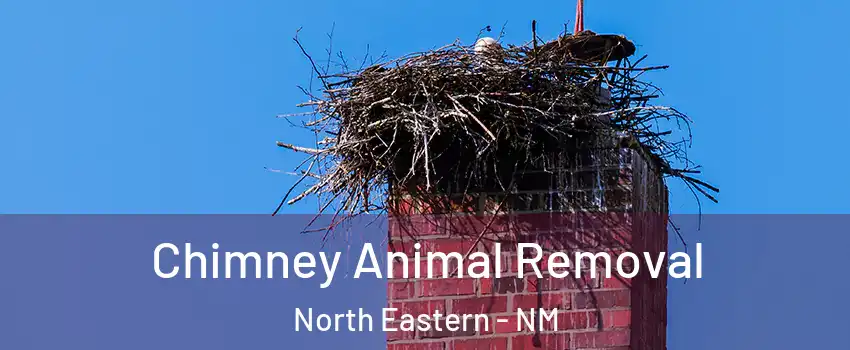 Chimney Animal Removal North Eastern - NM