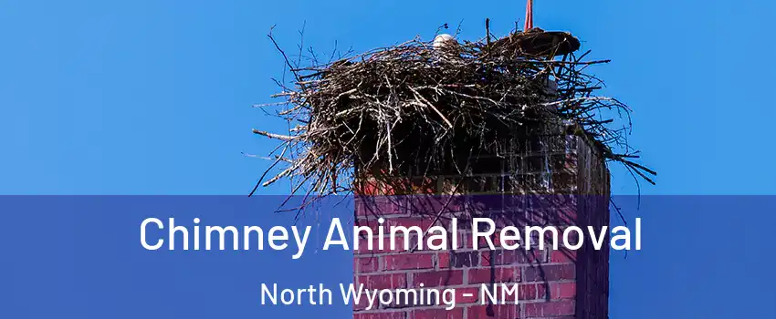 Chimney Animal Removal North Wyoming - NM