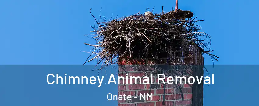 Chimney Animal Removal Onate - NM