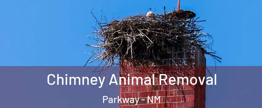 Chimney Animal Removal Parkway - NM