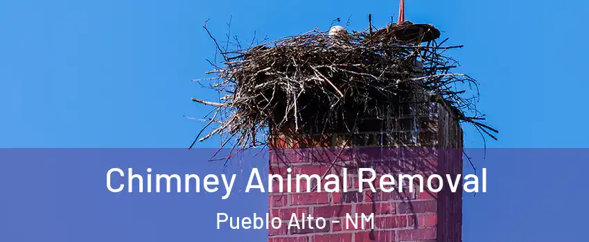 Chimney Animal Removal Pueblo Alto - NM