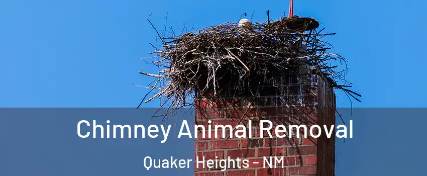 Chimney Animal Removal Quaker Heights - NM