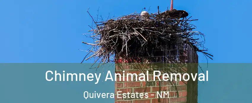 Chimney Animal Removal Quivera Estates - NM