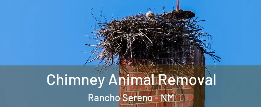 Chimney Animal Removal Rancho Sereno - NM