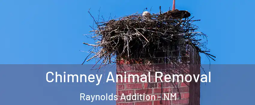 Chimney Animal Removal Raynolds Addition - NM