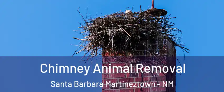 Chimney Animal Removal Santa Barbara Martineztown - NM