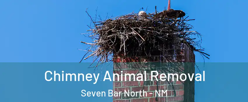 Chimney Animal Removal Seven Bar North - NM