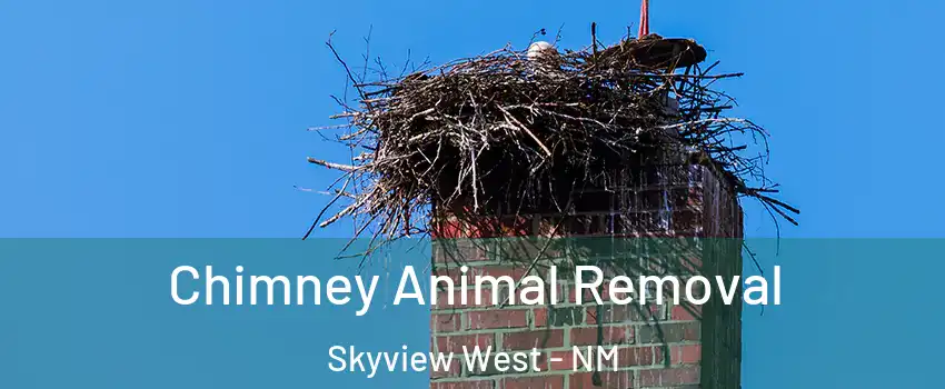 Chimney Animal Removal Skyview West - NM