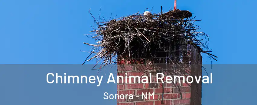 Chimney Animal Removal Sonora - NM