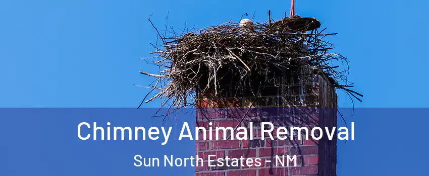 Chimney Animal Removal Sun North Estates - NM