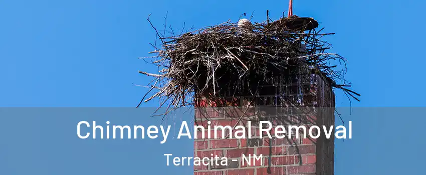 Chimney Animal Removal Terracita - NM