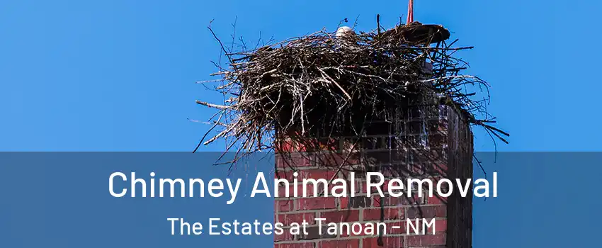 Chimney Animal Removal The Estates at Tanoan - NM