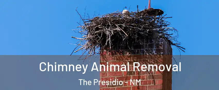 Chimney Animal Removal The Presidio - NM
