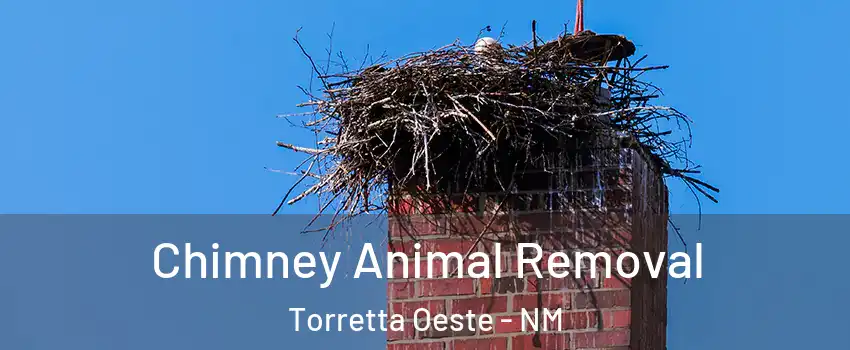 Chimney Animal Removal Torretta Oeste - NM