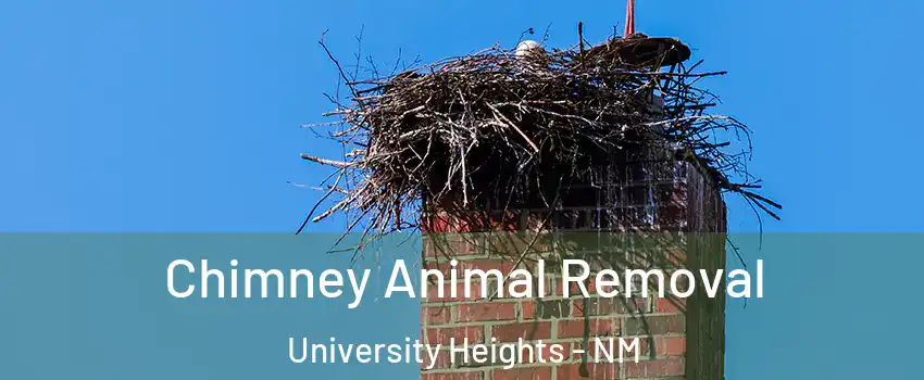 Chimney Animal Removal University Heights - NM