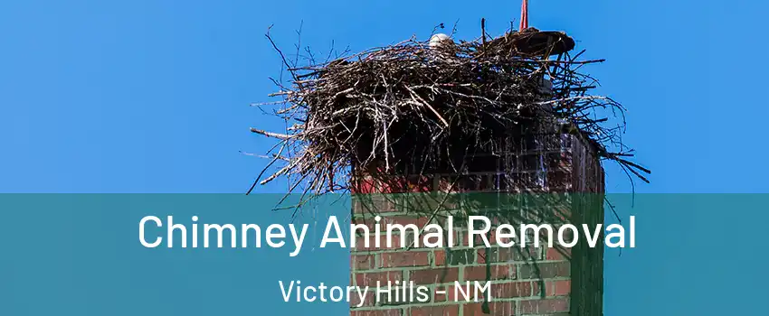 Chimney Animal Removal Victory Hills - NM