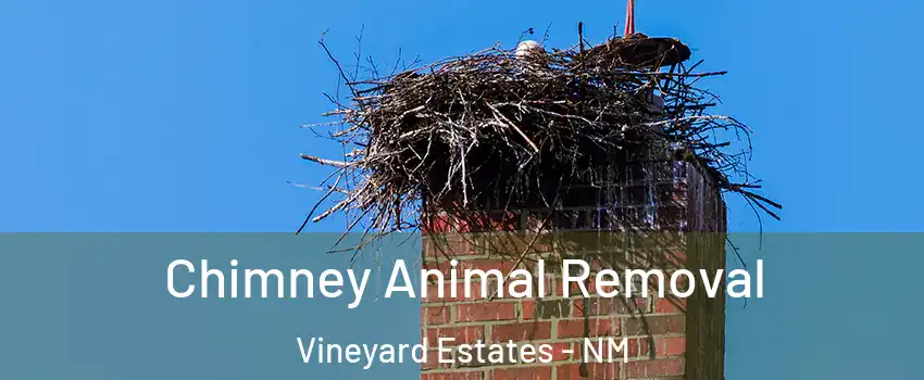 Chimney Animal Removal Vineyard Estates - NM