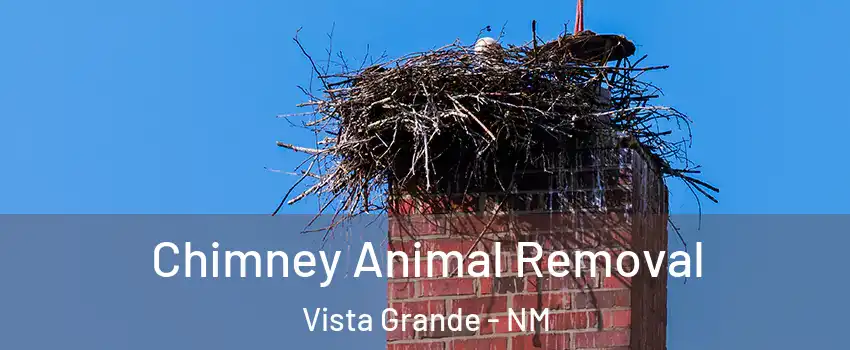Chimney Animal Removal Vista Grande - NM