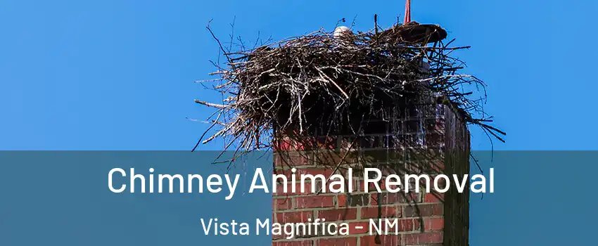Chimney Animal Removal Vista Magnifica - NM