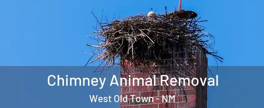 Chimney Animal Removal West Old Town - NM