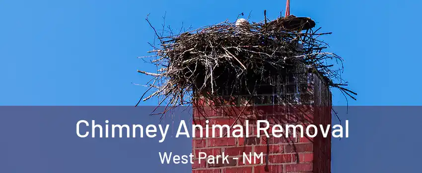 Chimney Animal Removal West Park - NM