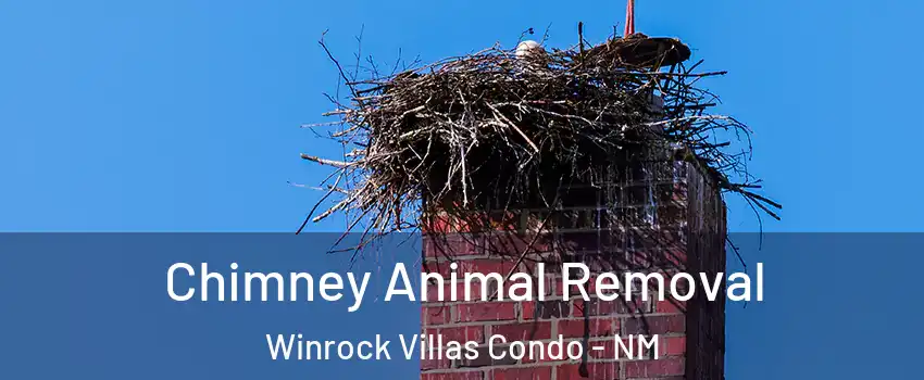 Chimney Animal Removal Winrock Villas Condo - NM