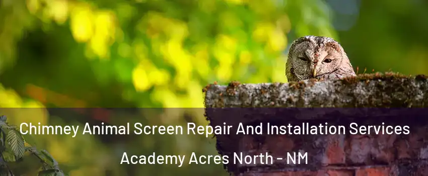 Chimney Animal Screen Repair And Installation Services Academy Acres North - NM