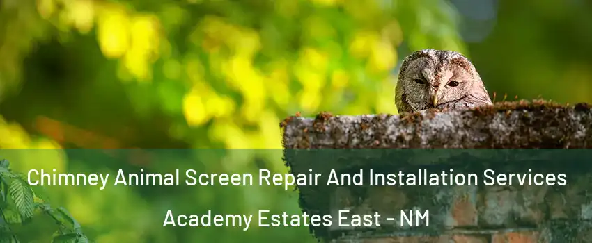 Chimney Animal Screen Repair And Installation Services Academy Estates East - NM