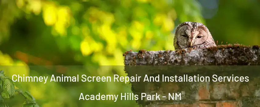 Chimney Animal Screen Repair And Installation Services Academy Hills Park - NM
