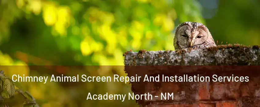 Chimney Animal Screen Repair And Installation Services Academy North - NM