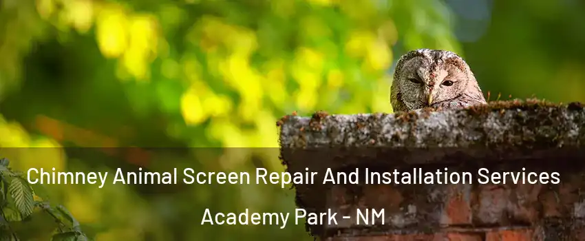 Chimney Animal Screen Repair And Installation Services Academy Park - NM