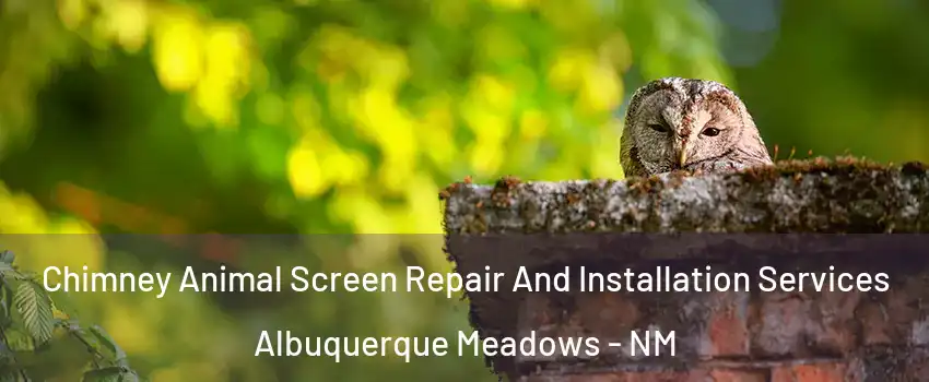 Chimney Animal Screen Repair And Installation Services Albuquerque Meadows - NM