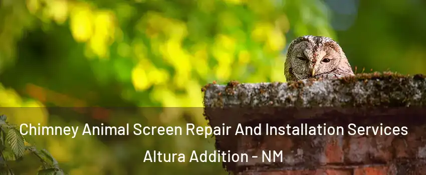 Chimney Animal Screen Repair And Installation Services Altura Addition - NM