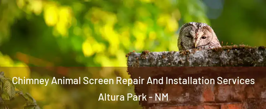 Chimney Animal Screen Repair And Installation Services Altura Park - NM