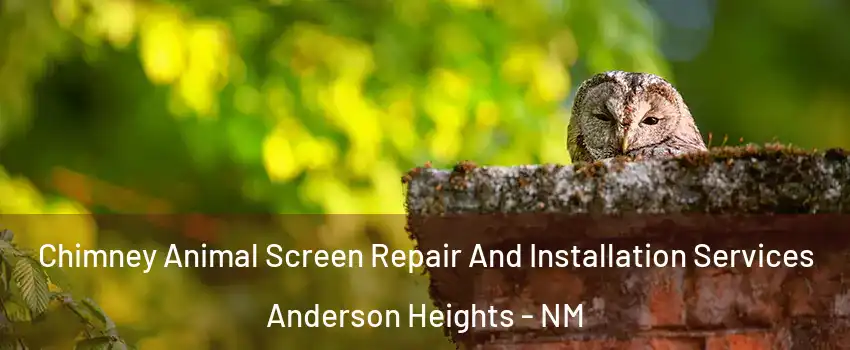 Chimney Animal Screen Repair And Installation Services Anderson Heights - NM