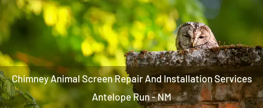 Chimney Animal Screen Repair And Installation Services Antelope Run - NM