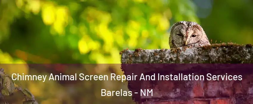 Chimney Animal Screen Repair And Installation Services Barelas - NM