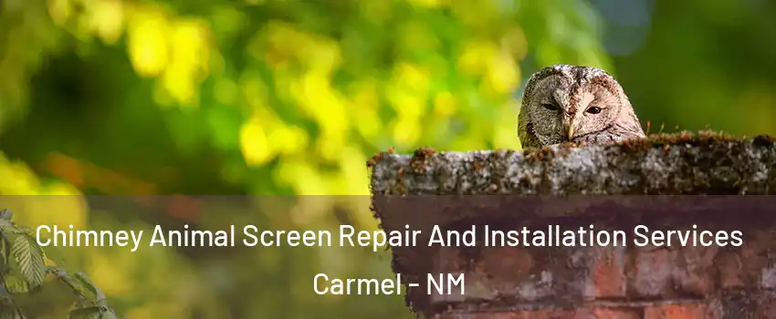 Chimney Animal Screen Repair And Installation Services Carmel - NM