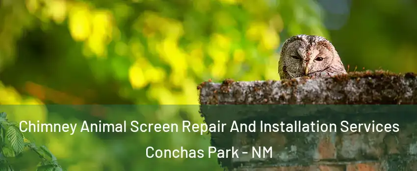 Chimney Animal Screen Repair And Installation Services Conchas Park - NM