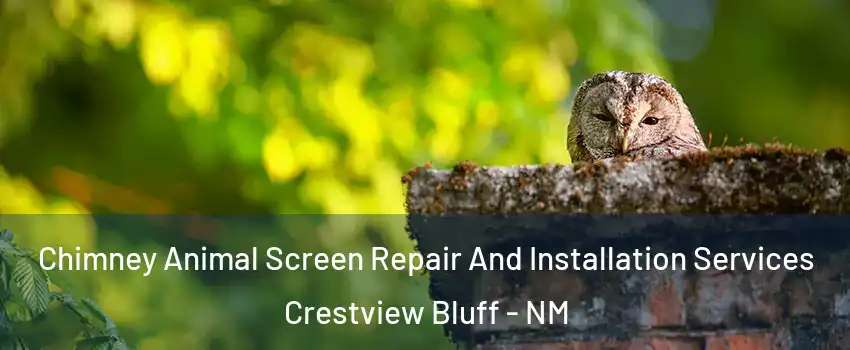 Chimney Animal Screen Repair And Installation Services Crestview Bluff - NM