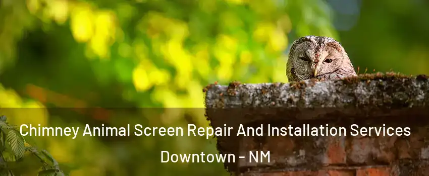 Chimney Animal Screen Repair And Installation Services Downtown - NM