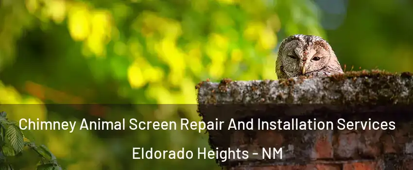 Chimney Animal Screen Repair And Installation Services Eldorado Heights - NM