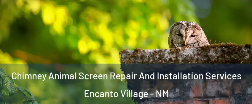 Chimney Animal Screen Repair And Installation Services Encanto Village - NM