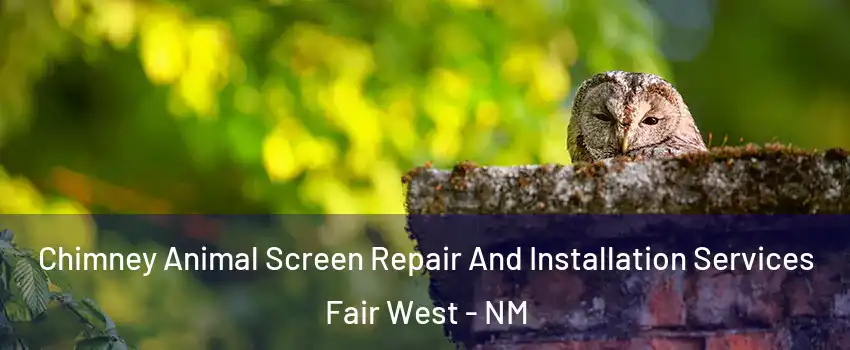 Chimney Animal Screen Repair And Installation Services Fair West - NM