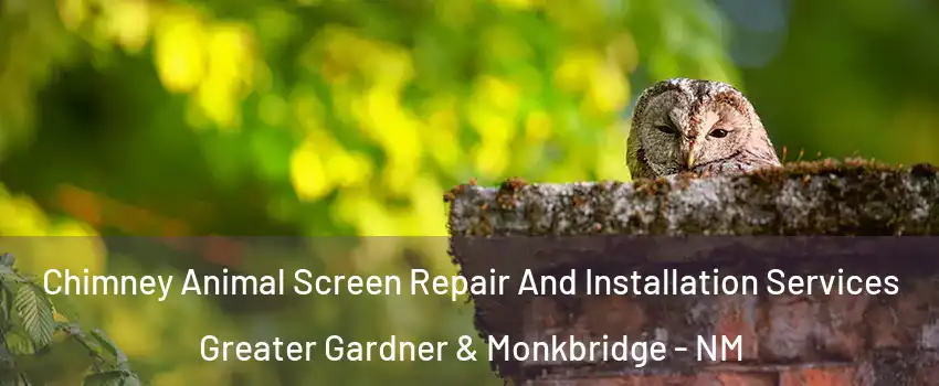 Chimney Animal Screen Repair And Installation Services Greater Gardner & Monkbridge - NM