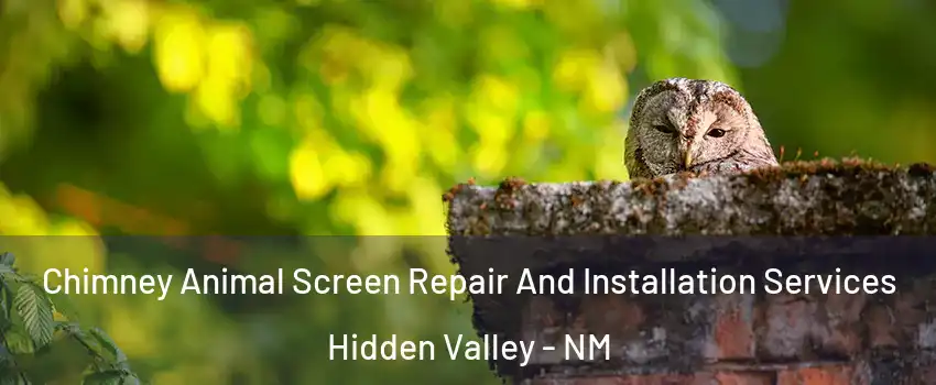 Chimney Animal Screen Repair And Installation Services Hidden Valley - NM
